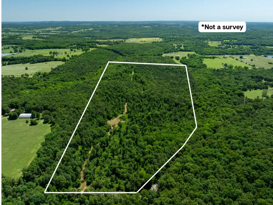 71± Acres of Prime Hunting Land in Floral, Arkansas